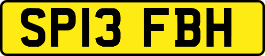 SP13FBH