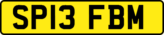 SP13FBM