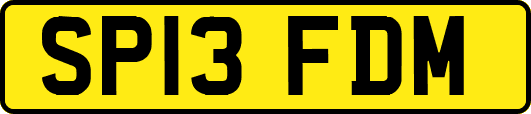 SP13FDM