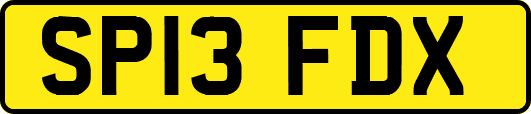 SP13FDX