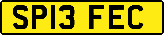 SP13FEC