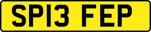 SP13FEP