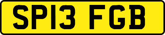 SP13FGB