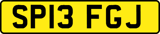 SP13FGJ