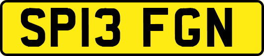 SP13FGN