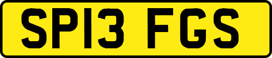 SP13FGS