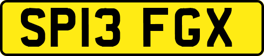 SP13FGX