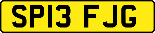SP13FJG