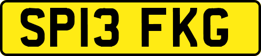 SP13FKG