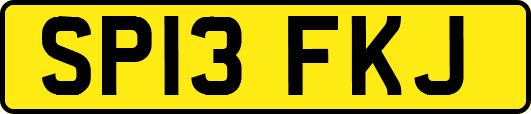SP13FKJ