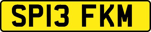 SP13FKM