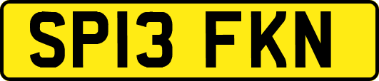 SP13FKN