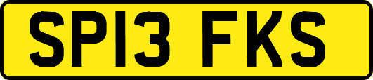 SP13FKS