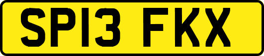 SP13FKX