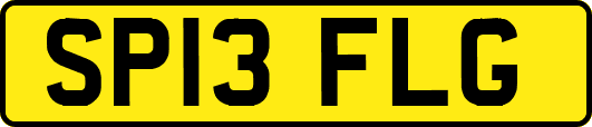 SP13FLG