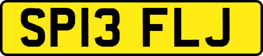 SP13FLJ