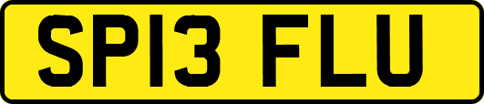 SP13FLU