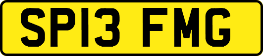 SP13FMG