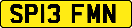 SP13FMN