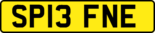 SP13FNE