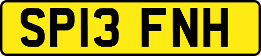 SP13FNH