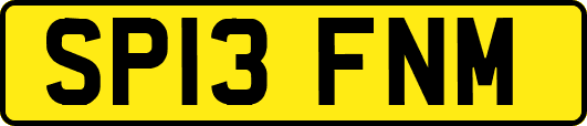 SP13FNM