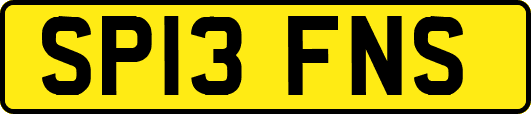 SP13FNS