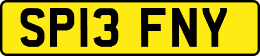 SP13FNY