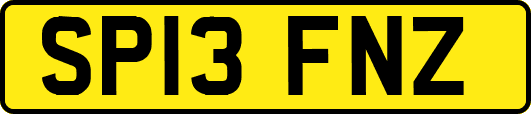 SP13FNZ