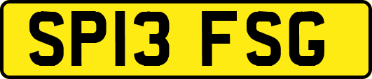 SP13FSG