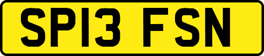 SP13FSN