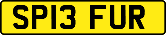 SP13FUR