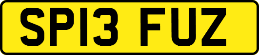 SP13FUZ