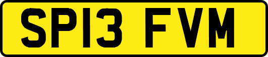 SP13FVM