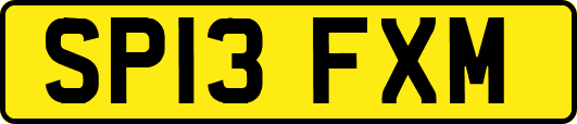 SP13FXM