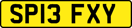 SP13FXY