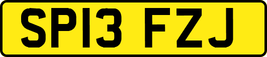 SP13FZJ