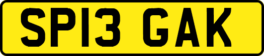 SP13GAK
