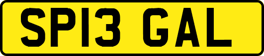 SP13GAL