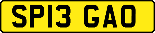 SP13GAO