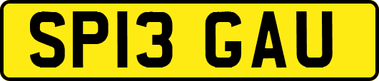 SP13GAU
