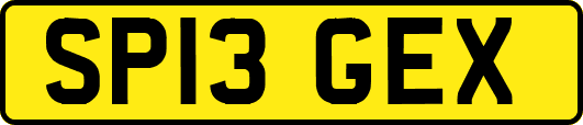 SP13GEX