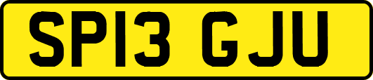 SP13GJU