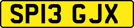 SP13GJX