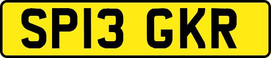 SP13GKR