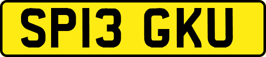 SP13GKU