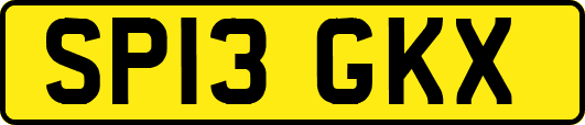 SP13GKX