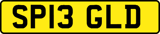 SP13GLD