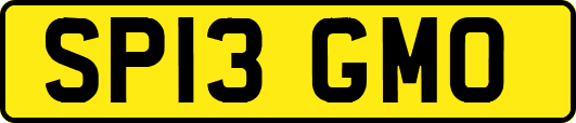 SP13GMO