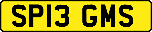 SP13GMS